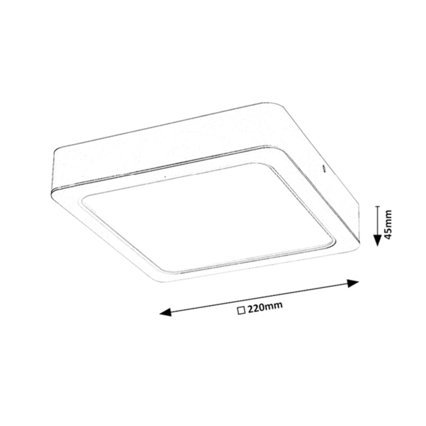 Rabalux - LED stropna svjetiljka LED/24W/230V 22x22 cm