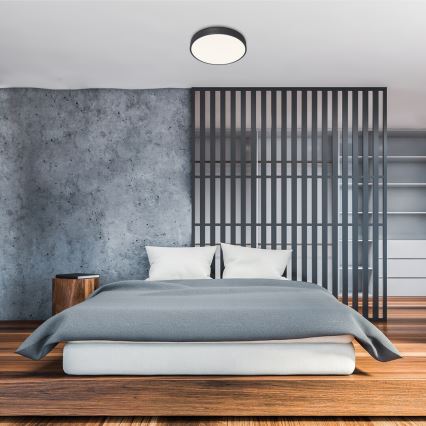 Rabalux - LED prigušivo stropno svjetlo, LED/60W/230V, promjer 60 cm + daljinsko upravljanje