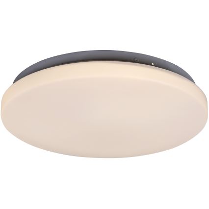 Rabalux - LED stropna svjetiljka LED/20W/230V Ø 29 cm