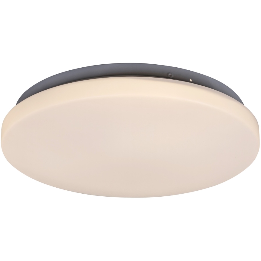 Rabalux - LED stropna svjetiljka LED/20W/230V Ø 29 cm