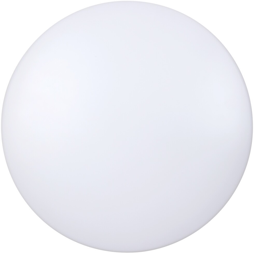 Rabalux - LED stropna svjetiljka LED/20W/230V Ø 29 cm