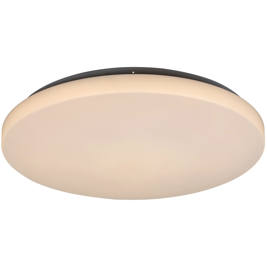 Rabalux - LED Stropna svjetiljka LED/32W/230V pr. 38 cm