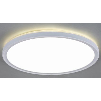 LED Stropna svjetiljka LED/18W/230V