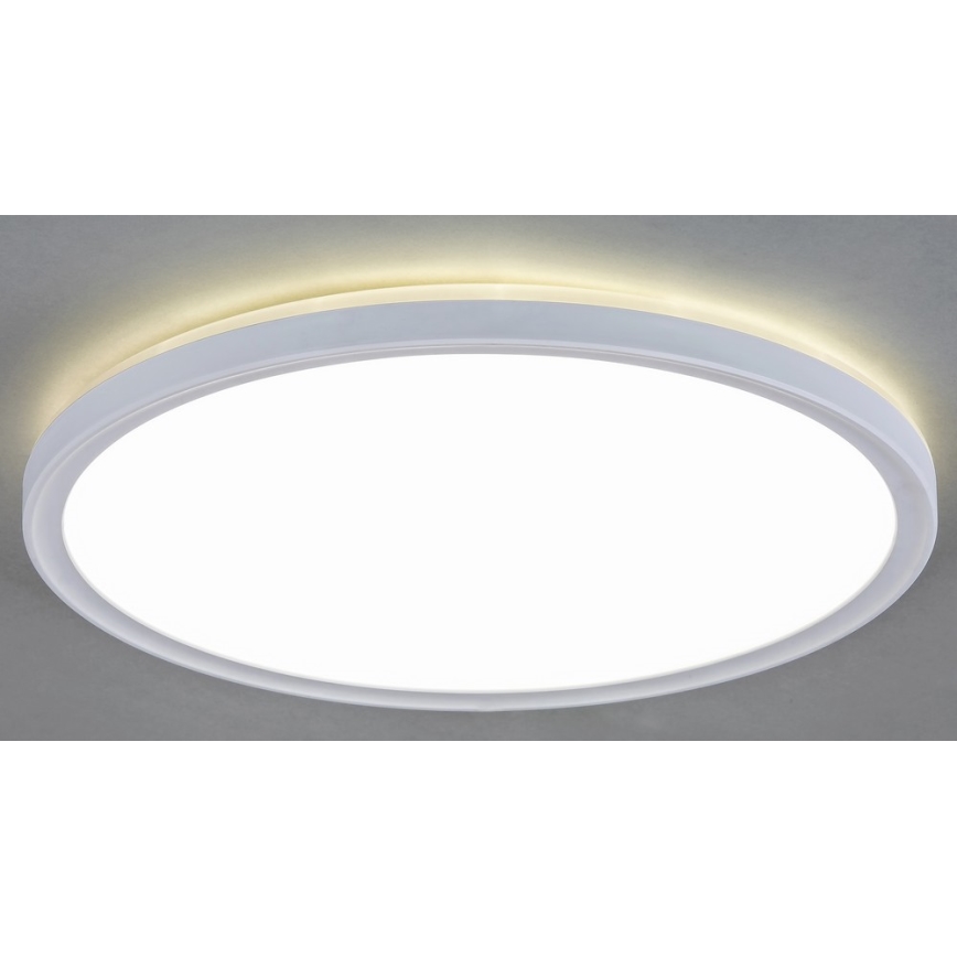LED Stropna svjetiljka LED/18W/230V