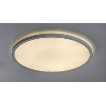 LED Prigušiva stropna svjetiljka PAVEL LED/22W/230V