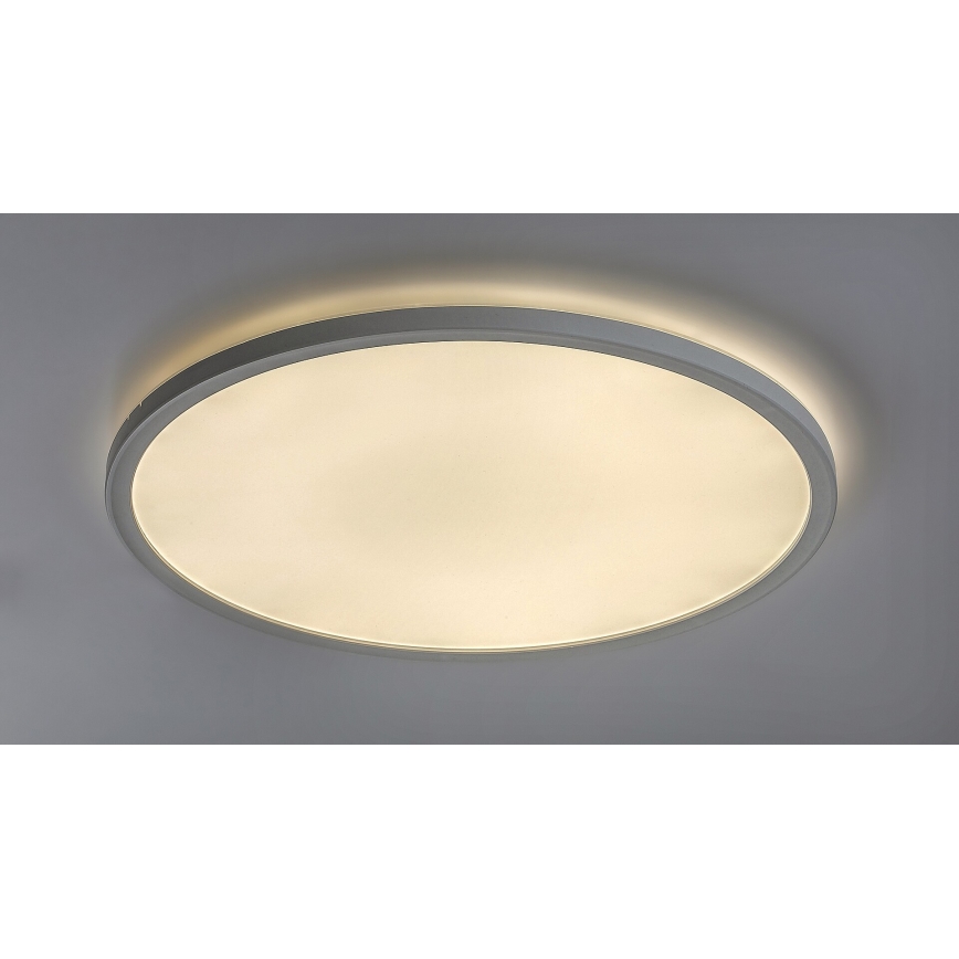 LED Prigušiva stropna svjetiljka PAVEL LED/22W/230V