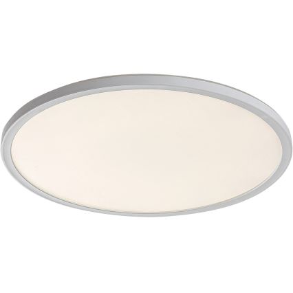 LED Prigušiva stropna svjetiljka PAVEL LED/22W/230V