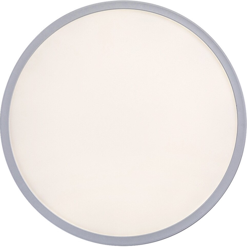 LED Prigušiva stropna svjetiljka PAVEL LED/22W/230V
