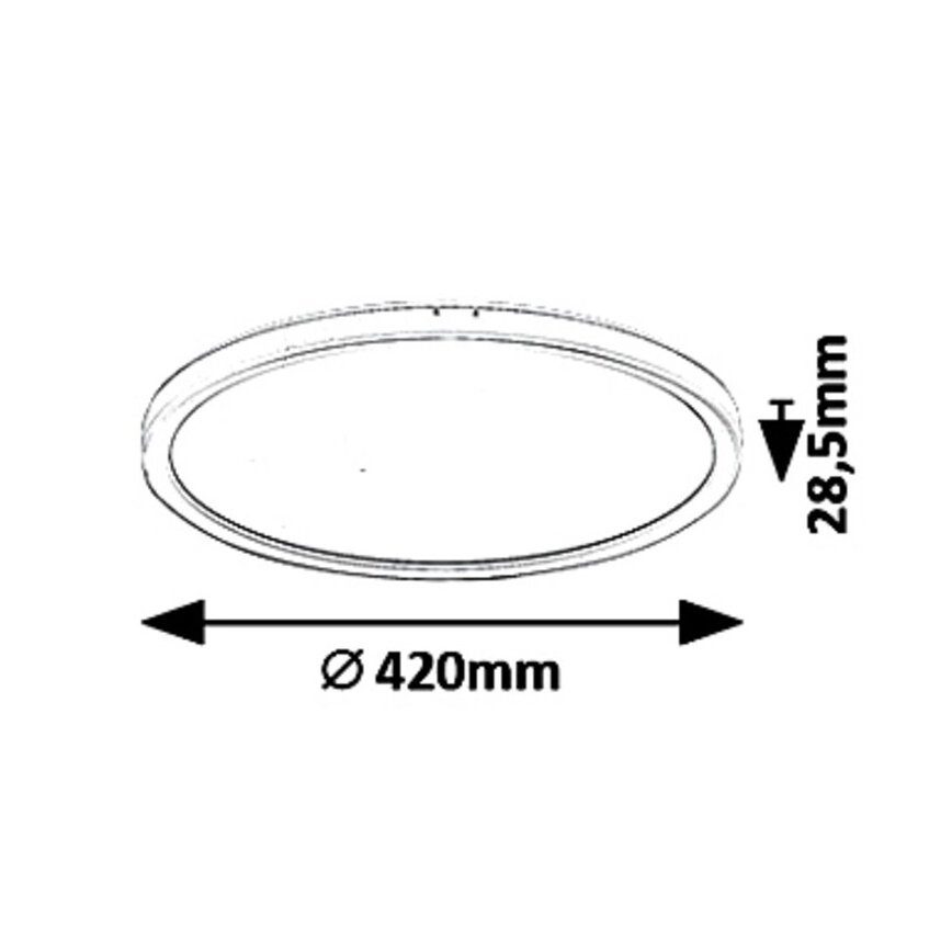 LED Prigušiva stropna svjetiljka PAVEL LED/22W/230V