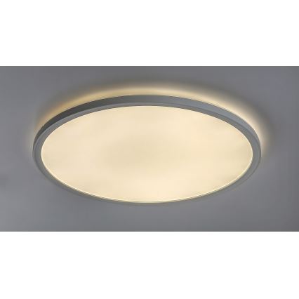 Rabalux - prigušiva stropna LED svjetiljka LED/22W/230V promjer 42 cm