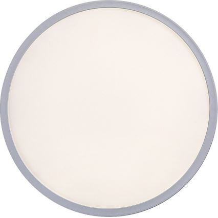 Rabalux - prigušiva stropna LED svjetiljka LED/22W/230V promjer 42 cm