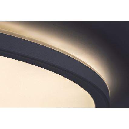 Rabalux - prigušiva stropna LED svjetiljka LED/22W/230V promjer 42 cm