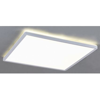 Rabalux 3429 - LED Stropna svjetiljka PAVEL LED/18W/230V