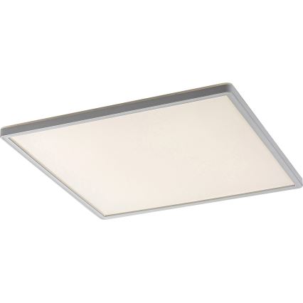 LED Prigušiva stropna svjetiljka LED/22W/230V