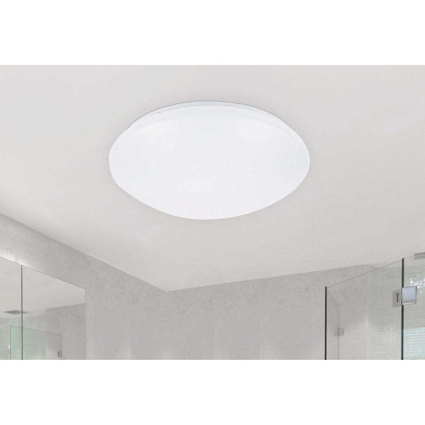 Rabalux - LED Stropna svjetiljka 1xLED/24W/230V