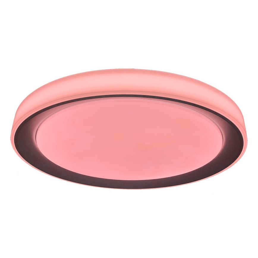 Rabalux - LED RGB Prigušiva stropna svjetiljka LED/40W/230V 2700-6500K Wi-Fi Tuya  + daljinski upravljač