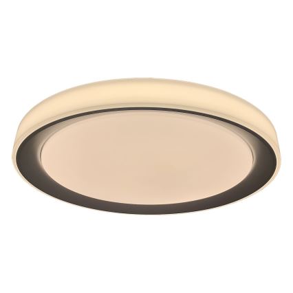 Rabalux - LED RGB Prigušiva stropna svjetiljka LED/40W/230V 2700-6500K Wi-Fi Tuya  + daljinski upravljač
