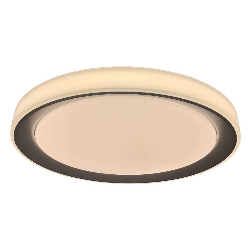 Rabalux - LED RGB stropna svjetiljka s prigušivanjem LED/40W/230V 2700-6500K Wi-Fi Tuya + daljinski upravljač