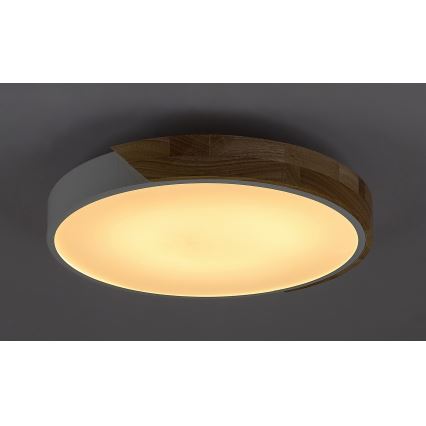 Rabalux - LED Stropna svjetiljka LED/24W/230V bijela/hrast