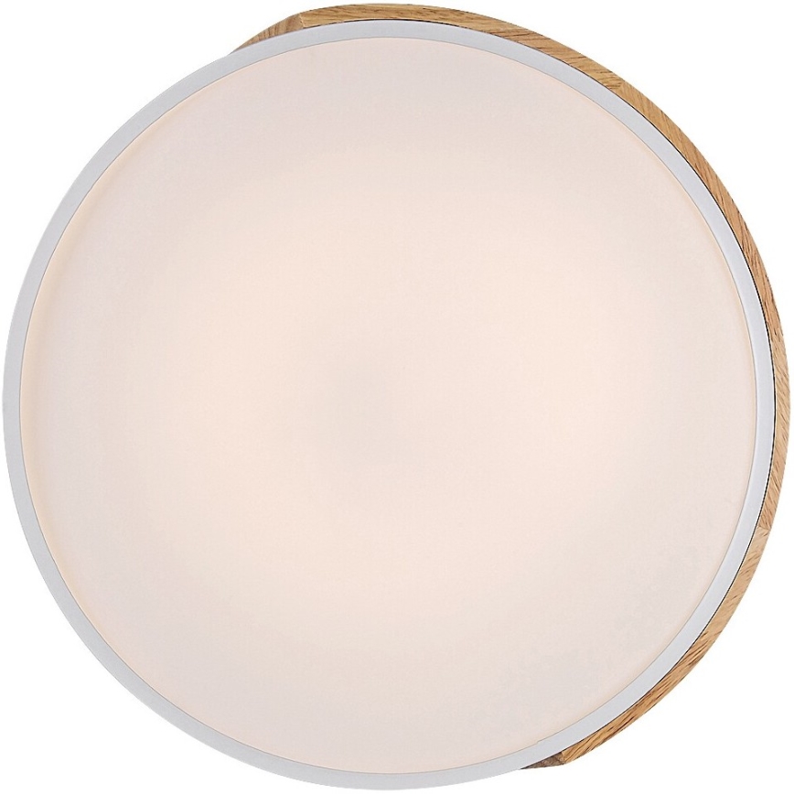 Rabalux - LED Stropna svjetiljka LED/24W/230V bijela/hrast