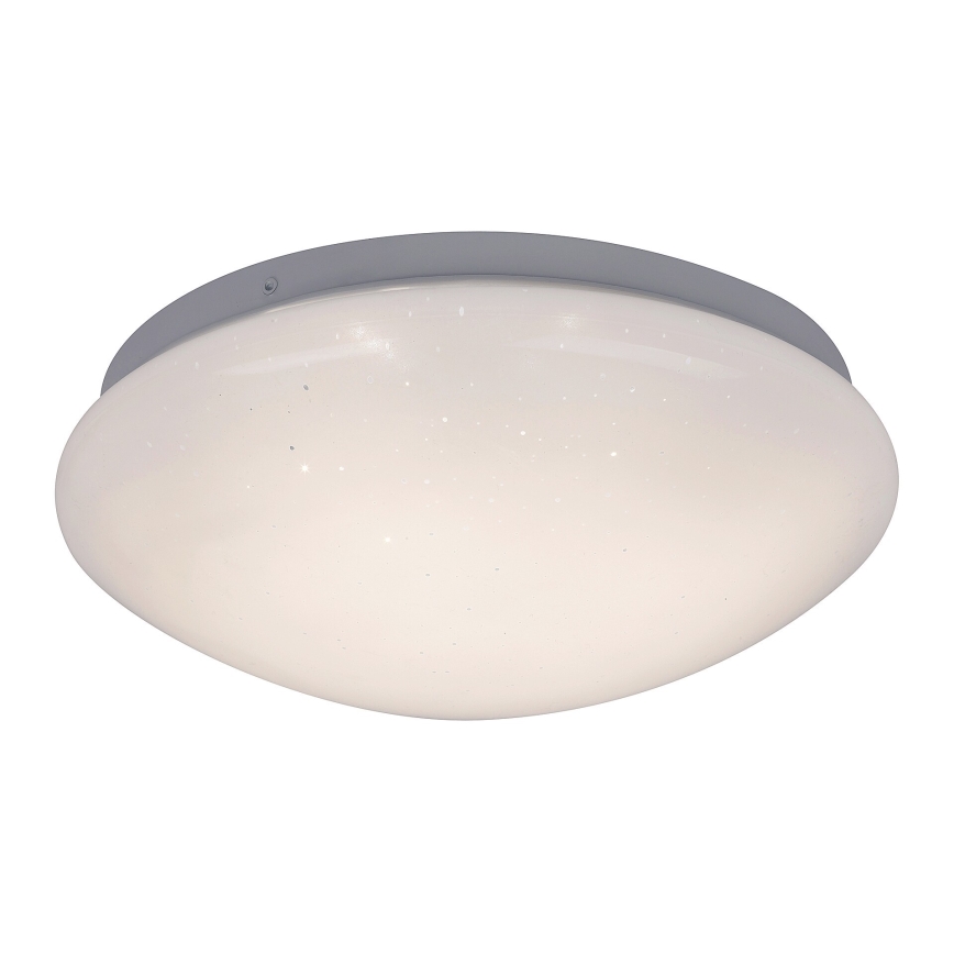 Rabalux - LED Stropna svjetiljka LED/12W/230V