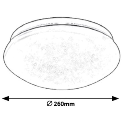 Rabalux - LED Stropna svjetiljka LED/12W/230V