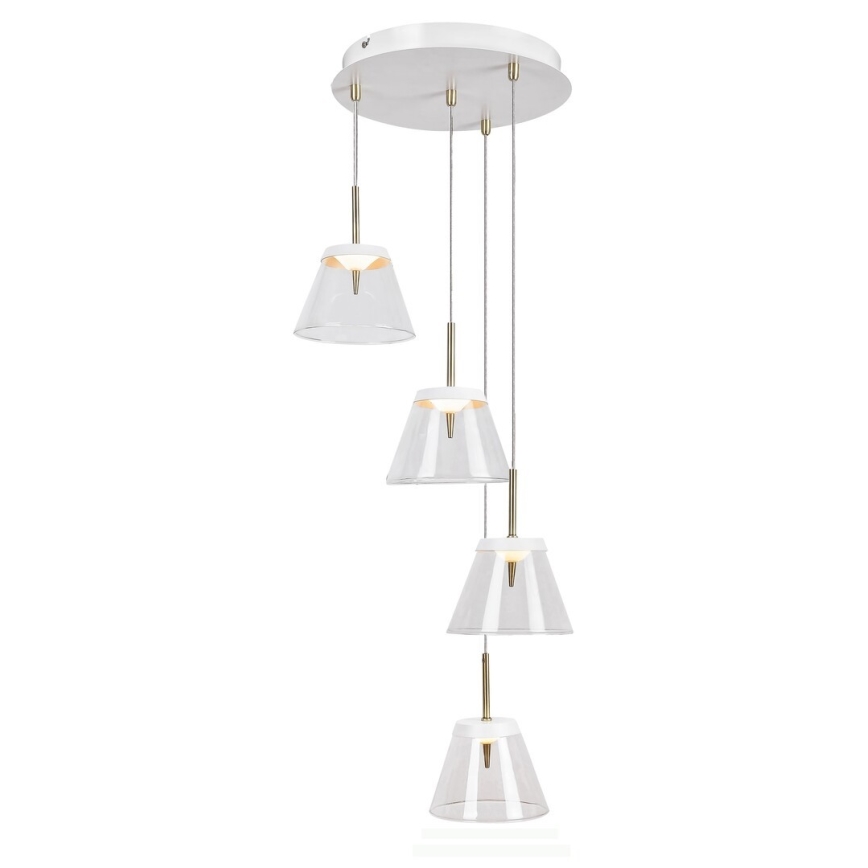 Rabalux - LED Luster na sajli AVIANA 4xLED/6W/230V