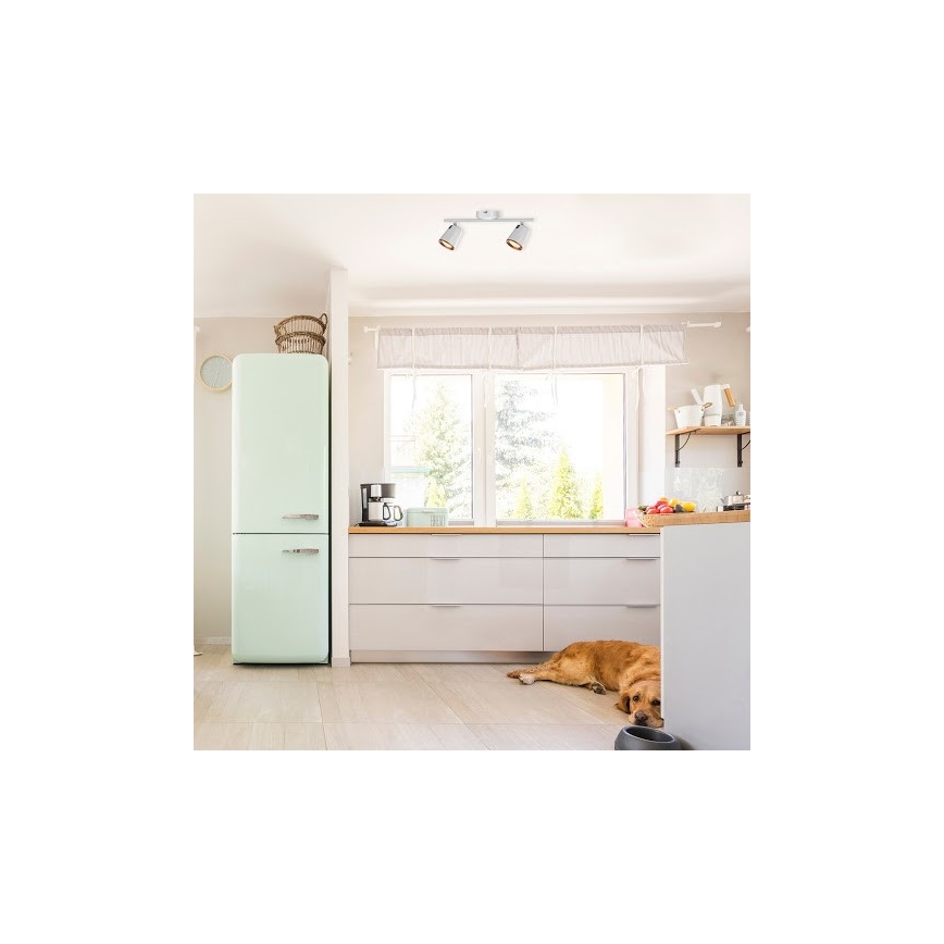 Rabalux -LED Reflektorska svjetiljka SOLANGE 2xLED/6W/230V