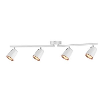 Rabalux 5048 - LED Reflektorska svjetiljka SOLANGE 4xLED/6W/230V