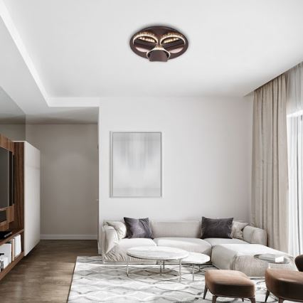 Rabalux - Stropno LED svjetlo CAPRIANA s prigušivačem LED/18W/230V Ø 38 cm