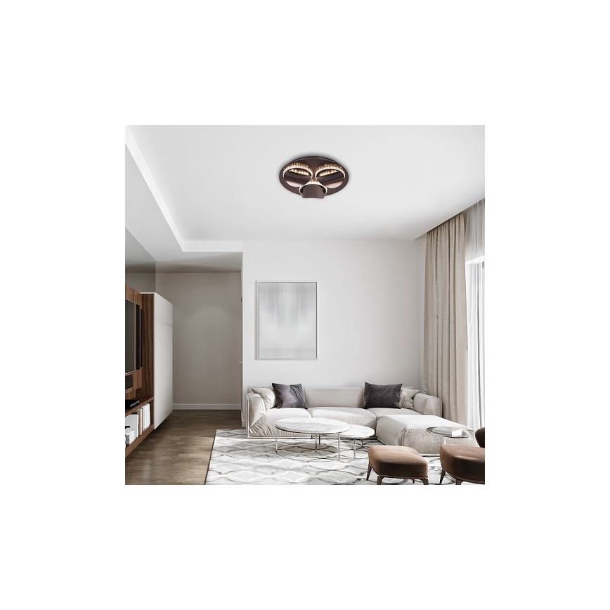 Rabalux - Stropno LED svjetlo CAPRIANA s prigušivačem LED/18W/230V Ø 38 cm