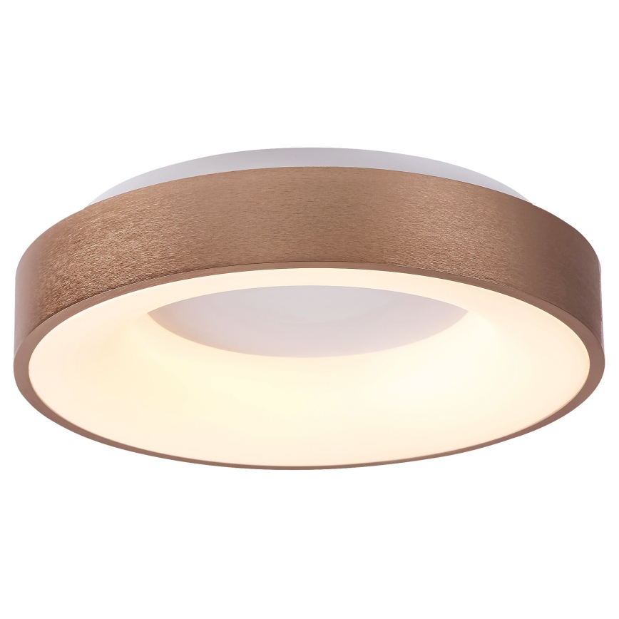 Rabalux 5052 - LED Stropna svjetiljka CARMELA LED/30W/230V