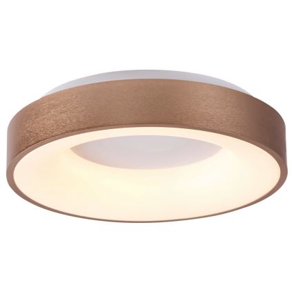 Rabalux 5053 - LED Stropna svjetiljka CARMELA LED/50W/230V