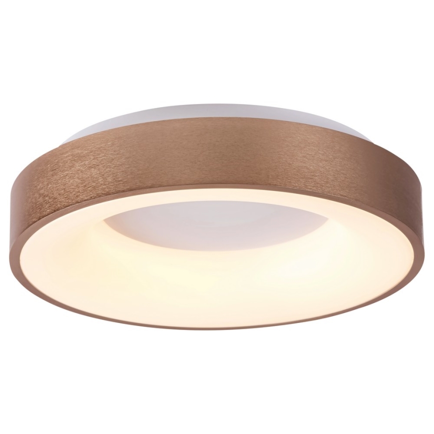 Rabalux 5053 - LED Stropna svjetiljka CARMELA LED/50W/230V