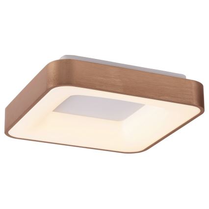 Rabalux - LED Stropna svjetiljka CARMELA LED/30W/230V 40x40 cm