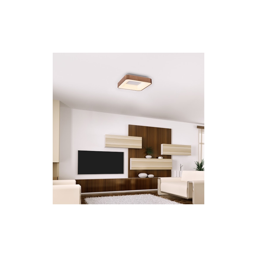 Rabalux - LED Stropna svjetiljka CARMELA LED/30W/230V 40x40 cm