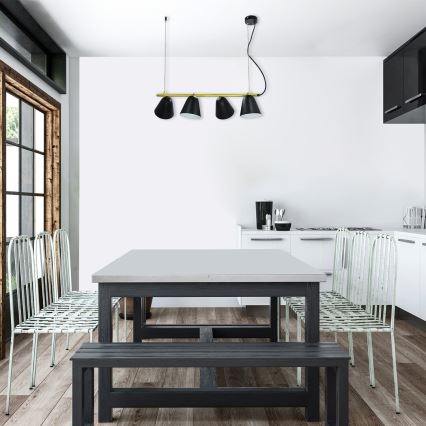 Rabalux - Luster na užetu ALTDER 4xE14/40W/230V