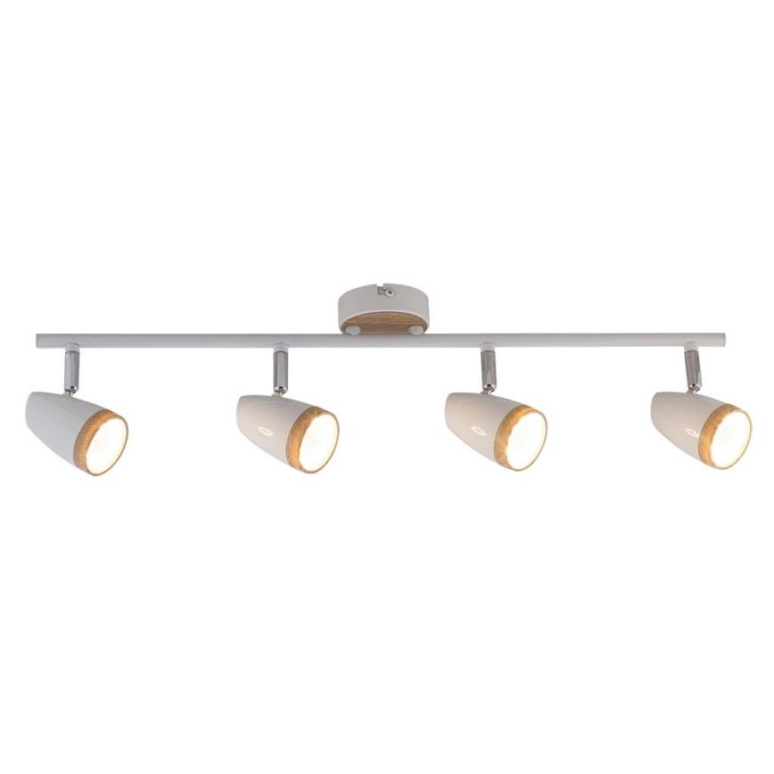 Rabalux - LED Reflektorska svjetiljka 4xLED/4W/230V