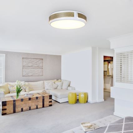 Rabalux - LED prigušiva stropna svjetiljka LED/24W/230V promjer 42 cm