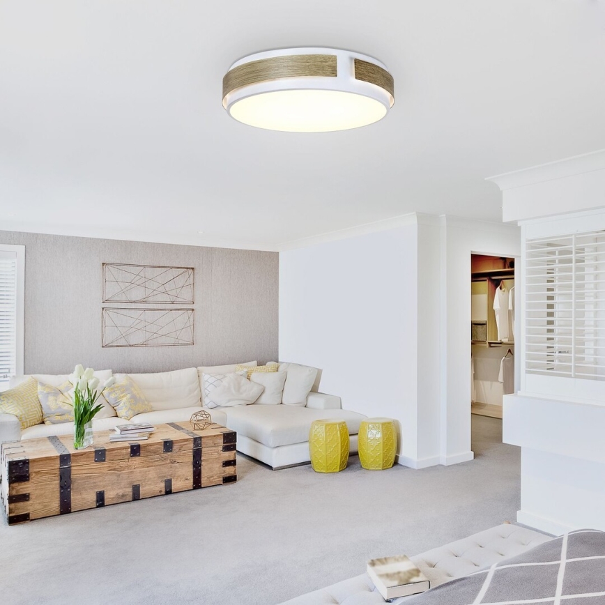 Rabalux - LED prigušiva stropna svjetiljka LED/24W/230V promjer 42 cm