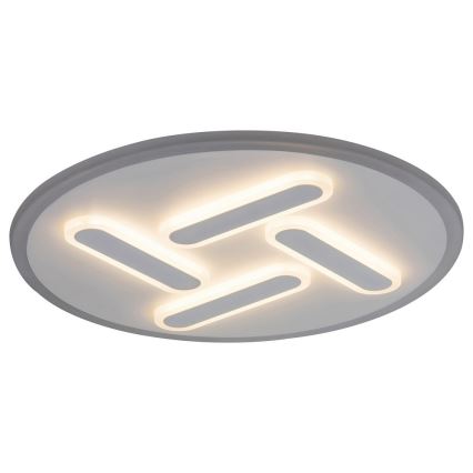 Rabalux - LED stropna svjetiljka s prigušivanjem LED/36W/230V promjer 46,8 cm