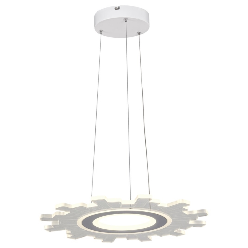 Rabalux 6210 - LED luster na sajli FELICITY LED/30W/230V