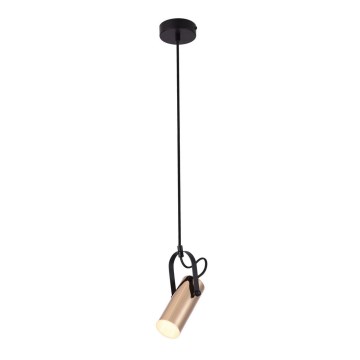 Rabalux 6429 - LED luster na sajli RAVEN LED/5W/230V