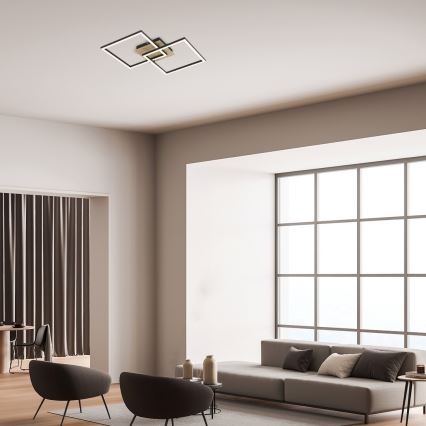 Rabalux - LED Stropna svjetiljka LED/24W/230V