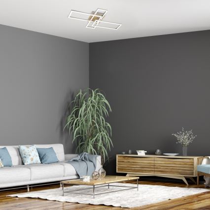 Rabalux - LED Stropna svjetiljka LED/24W/230V