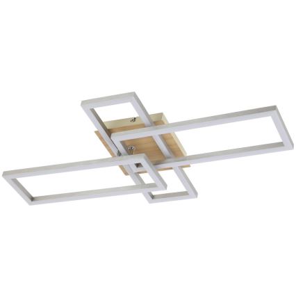 Rabalux - LED Stropna svjetiljka LED/24W/230V