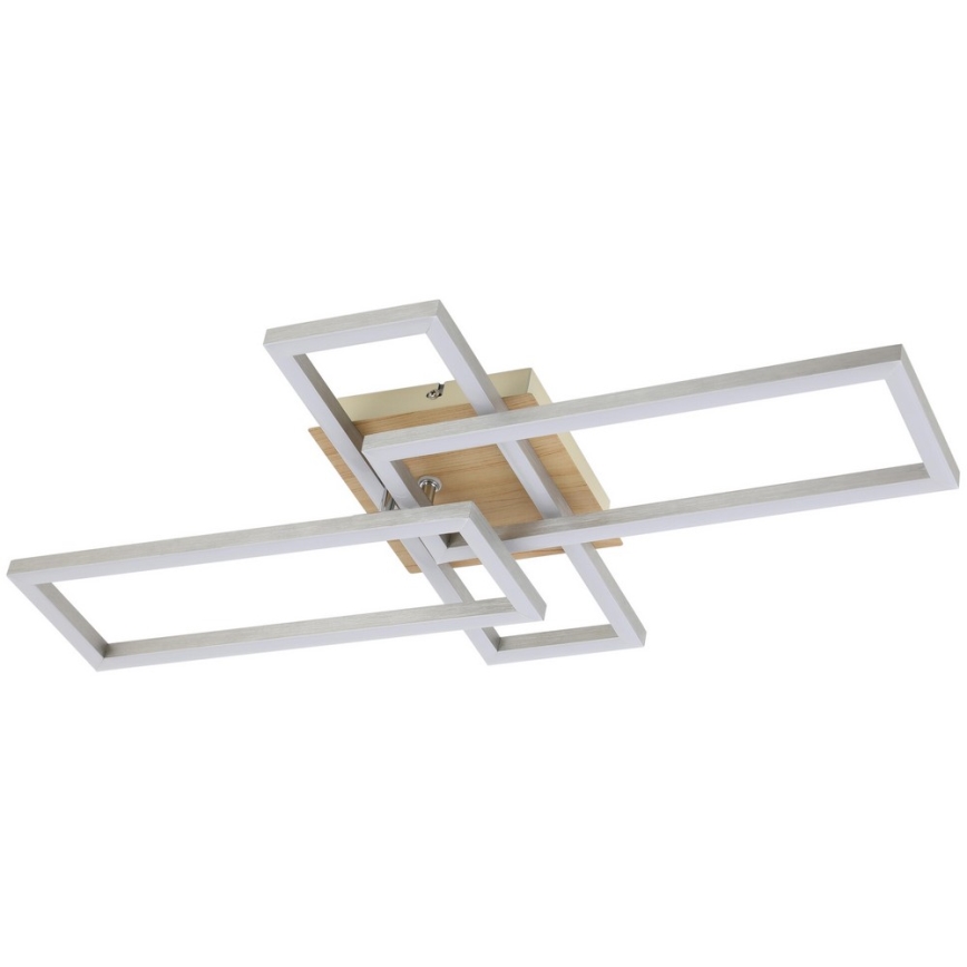 Rabalux - LED Stropna svjetiljka LED/24W/230V