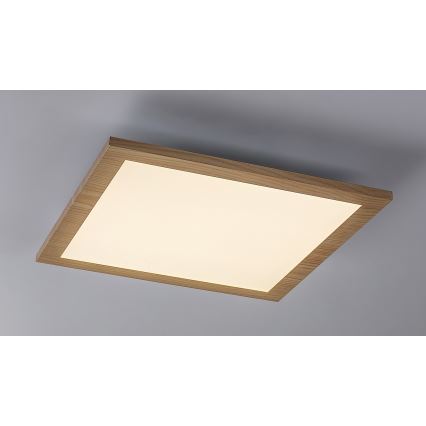 Rabalux - LED Nadgradni panel LED/12W/230V 4000K