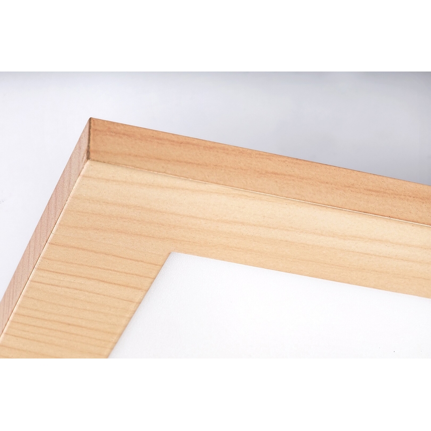 Rabalux - LED Ugradbena ploča LED/12W/230V 4000K