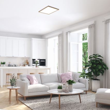 Rabalux - LED Ugradbena ploča LED/40W/230V 4000K